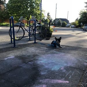 Meet your Posher, Isabella